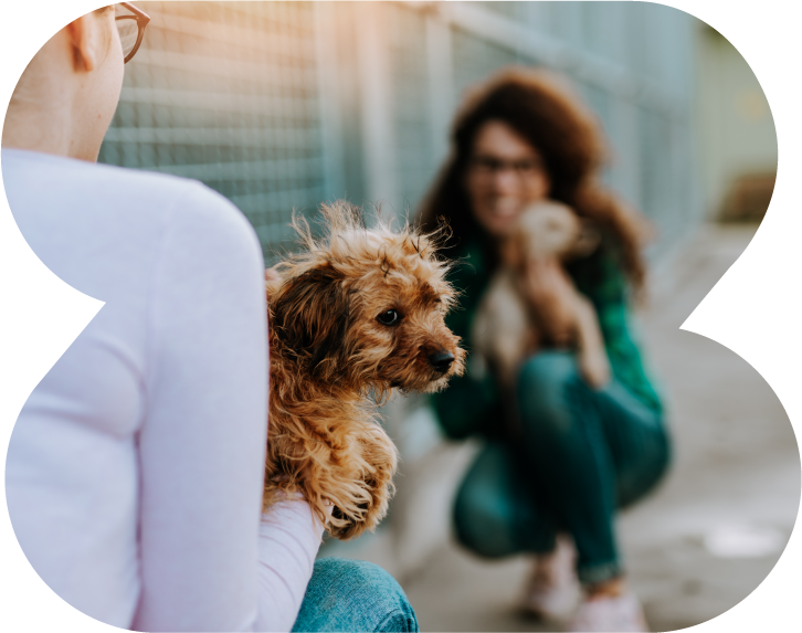 ZenterPrize Incentivized Giving for Animal Non-Profit